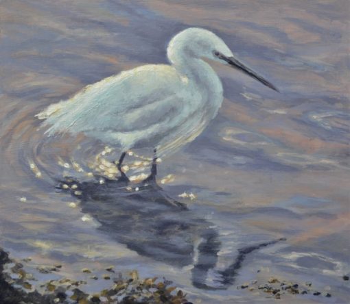 Debbie Veitch Little Egret