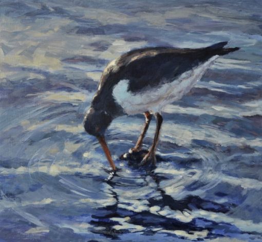 Debbie Veitch Oystercatcher